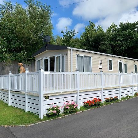 Mollys Retreat Pet Friendly Three Bed Caravan With Small Garden Newquay Bay Resort Quieter Area Of Park Eksteriør billede