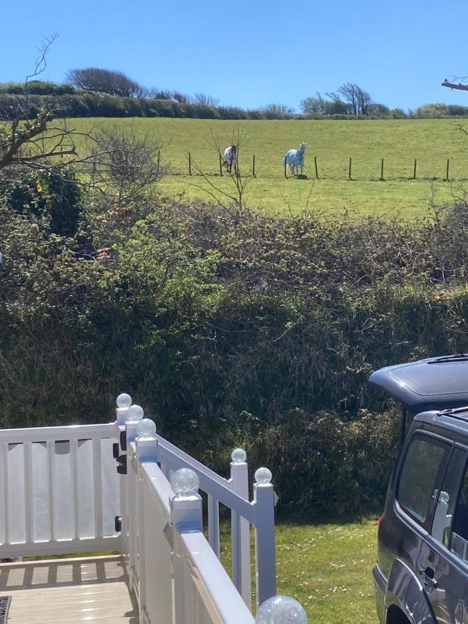 Mollys Retreat Pet Friendly Three Bed Caravan With Small Garden Newquay Bay Resort Quieter Area Of Park Eksteriør billede